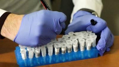 В России заразились коронавирусом еще 8173 человека - riafan.ru - Россия - Москва - Ангола