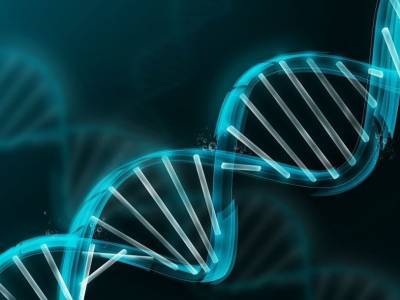 Предложен новый способ невирусной доставки ДНК в клетки - polit.ru - штат Северная Каролина