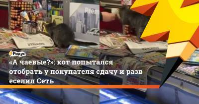 «Ачаевые?»: кот попытался отобрать упокупателя сдачу иразвеселил Сеть - ridus.ru