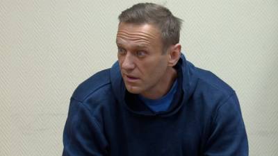 Алексей Навальный - ФСИН: у Навального нет ни туберкулеза, ни COVID-19 - vesti.ru - Владимирская обл.