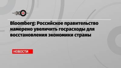 Владимир Путин - Bloomberg: Российское правительство намерено увеличить госрасходы для восстановления экономики страны - echo.msk.ru - Россия