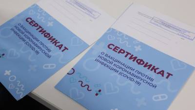 В Москве стартовала вакцинация от COVID-19 на дому - dp.ru - Москва