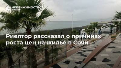 Риелтор рассказал о причинах роста цен на жилье в Сочи - realty.ria.ru - Сочи