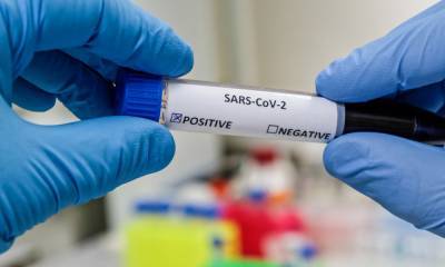 Наталья Пшеничная - Какие типы антител существуют и в чем разница между ними? - gubdaily.ru