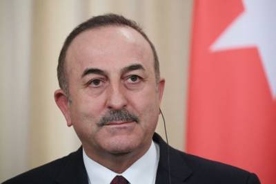 МИД Турции оценил решение России об ограничении авиасообщения - aif.ru - Россия - Турция