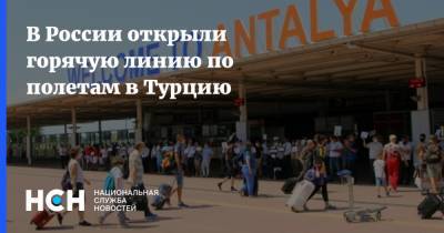 В России открыли горячую линию по полетам в Турцию - nsn.fm - Россия - Турция - Танзания