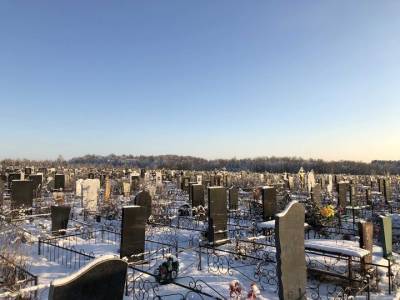 Работники кладбищ заражаются COVID-19 чаще врачей, показало исследование - ufacitynews.ru - Катар