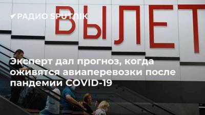 Дмитрий Адамидов - Эксперт дал прогноз, когда оживятся авиаперевозки после пандемии COVID-19 - smartmoney.one - Россия