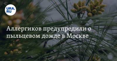 Аллергиков предупредили о пыльцевом дожде в Москве - ura.news - Москва