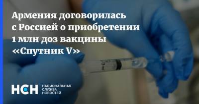 Армения договорилась с Россией о приобретении 1 млн доз вакцины «Спутник V» - nsn.fm - Россия - Армения - Ереван