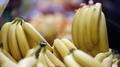 Генетик оценил угрозу исчезновения бананов - iz.ru - Израиль