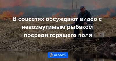 В соцсетях обсуждают видео с невозмутимым рыбаком посреди горящего поля - news.mail.ru - Слуцк - Минская обл.