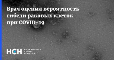 Евгений Черемушкин - Врач оценил вероятность гибели раковых клеток при COVID-19 - nsn.fm - Россия