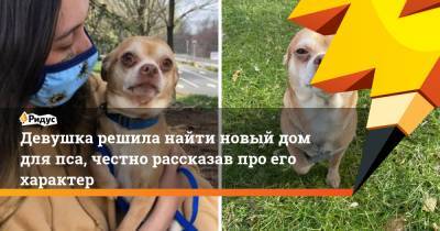 Девушка решила найти новый дом для пса, честно рассказав про его характер - ridus.ru
