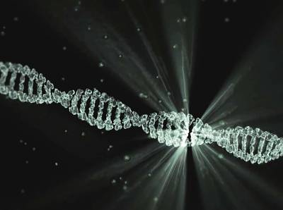 Ученые создали новый метод хранения информации в ДНК и мира - cursorinfo.co.il