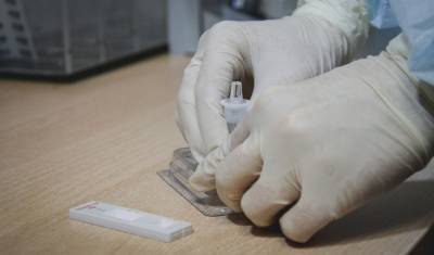 Всем тюменцам по прибытии в страну необходимо пройти тест на коронавирус за 3 дня - nashgorod.ru - Россия