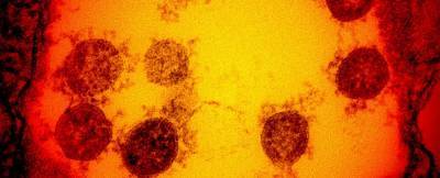 Теперь и бразильский: Ученые рассказали о более заразном штамме коронавируса - news.bigmir.net - Бразилия