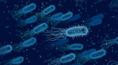 Ученые создали убийцу супербактерий и мира - cursorinfo.co.il
