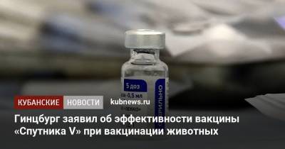 Александр Гинцбург - Гинцбург заявил об эффективности вакцины «Спутника V» при вакцинации животных - kubnews.ru