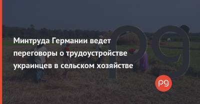 Минтруда Германии ведет переговоры о трудоустройстве украинцев в сельском хозяйстве - thepage.ua