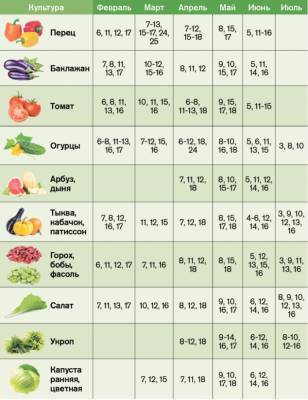 Посевной календарь на май 2021: что и когда сажать - narodna-pravda.ua - Украина