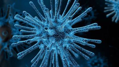 Пандемия коронавирусной инфекции может продлиться до 2023 года - nation-news.ru
