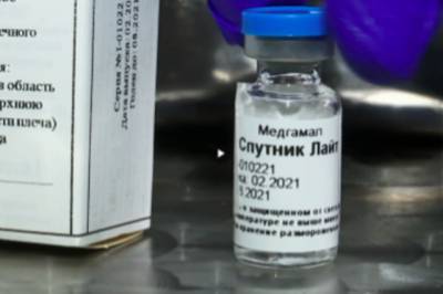 Михаил Мишустин - «Спутник Лайт» будет включен в программу вакцинации - aif.ru - Россия