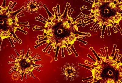 Пол Хантер - Новый опасный штамм-мутант коронавируса обнаружили в Великобритании - live24.ru - Англия