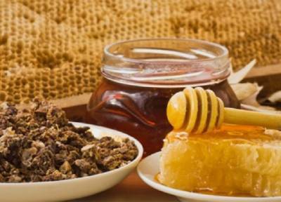 Смесь меда и прополиса: поможет при простуде, насытит витаминами, облегчит боль в горле - province.ru