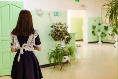 Около 20 учеников школы №2 в Чите заболели с подозрением на ротавирусную инфекцию - chita.ru - Чита