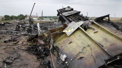 Гаагский суд принял решение об изучении обломков самолета рейса MH17 - nation-news.ru - Гаага