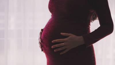 Рафаэль Камара - Женщин Бразилии призвали отложить беременность из-за распространения COVID-19 - nation-news.ru - Бразилия