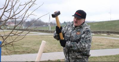 Александр Лукашенко - "Надо нормально питаться": Лукашенко признался, что не хочет вакцинироваться - focus.ua