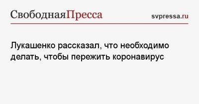 Александр Лукашенко - Лукашенко рассказал, что необходимо делать, чтобы пережить коронавирус - svpressa.ru - Александрия - Могилевская обл.