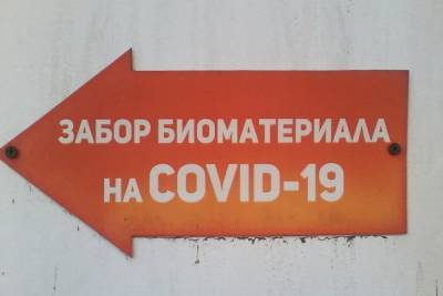 Роспотребнадзор запретил саратовцам употреблять алкоголь перед ПЦР-тестом на ковид - saratov.mk.ru - Саратов