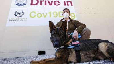 Биньямин Нетаниягу - Эти собаки выявляют коронавирус за 5 секунд: появятся ли они в Израиле - vesty.co.il - Израиль
