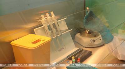 В Гонконге выявили случай заражения мутировавшим штаммом коронавируса - belta.by - Китай - Минск - Гонконг - Гонконг