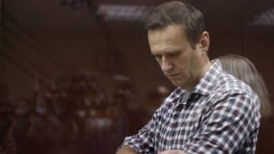 Владимир Путин - Алексей Навальный - Ряд региональных депутатов обратились к Путину по поводу Навального - vesti.ru - Россия