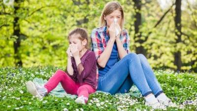 Владимир Болибок - К каким опасным заболеваниям приводит аллергия на пыльцу? - 5-tv.ru
