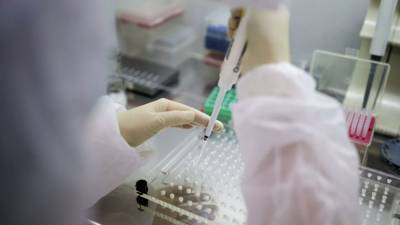 В России за сутки провели 263 тысячи тестов на коронавирус - russian.rt.com - Россия