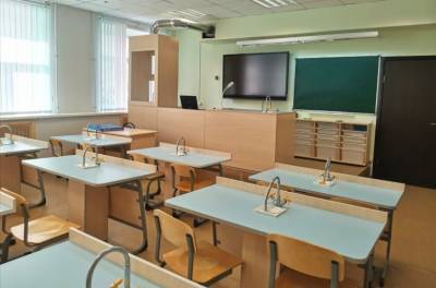 Два класса липецких школ учатся дистанционно - lipetskmedia.ru - Липецк