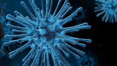 В России формируется два новых штамма коронавируса - inforeactor.ru - Россия