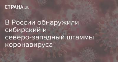Анна Попова - В России обнаружили сибирский и северо-западный штаммы коронавируса - strana.ua - Россия