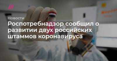 Роспотребнадзор сообщил о развитии двух российских штаммов коронавируса - tvrain.ru - Россия