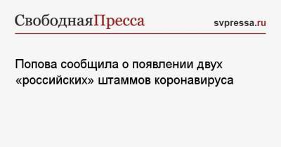 Анна Попова - Попова сообщила о появлении двух «российских» штаммов коронавируса - svpressa.ru - Россия