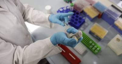 Анна Попова - В РФ заявили о формировании новых "российских" штаммов коронавируса - tsn.ua - Россия - Бразилия - Бельгия
