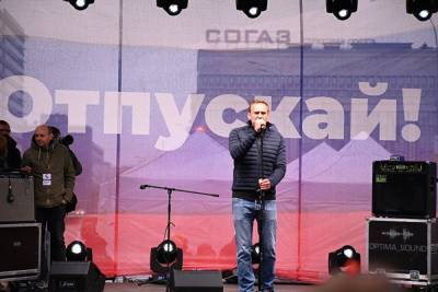 Алексей Навальный - МВД призвало воздержаться от участия в митингах в поддержку Навального - znak.com - Россия