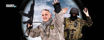 Владимир Сергиенко - «Произойдет уничтожение ВСУ». Немцы не видят Украину в НАТО - politnavigator.net - Россия - Украина - Германия