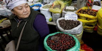 Алымкадыр Бейшеналиев - Убийственный «чай от кашля». В Кыргызстане больных коронавирусом лечили ядовитым растением - nv.ua - Киргизия - Украина