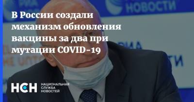 Александр Гинцбург - В России создали механизм обновления вакцины за два при мутации COVID-19 - nsn.fm - Россия